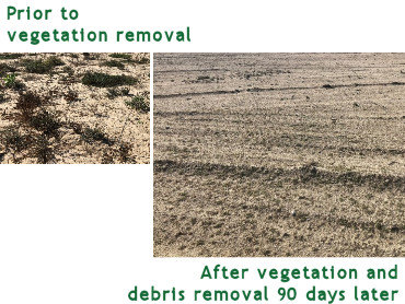 Before and after vegetation and debris removal